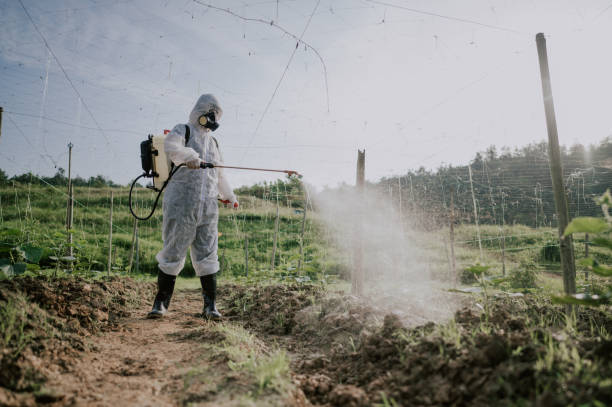 Best Pest Removal Services  in Coldstream, KY