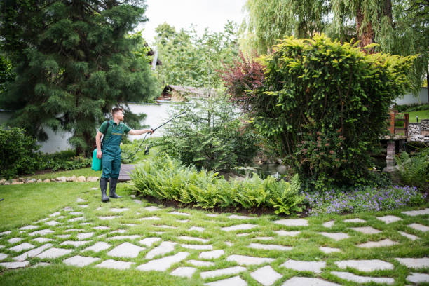 Best Exterminator Services  in Coldstream, KY