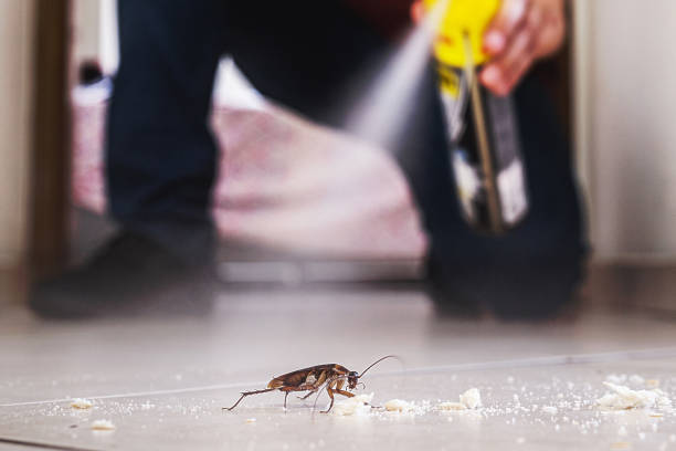 Best Best Pest Control Companies  in Coldstream, KY