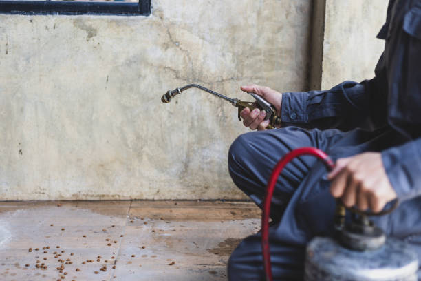 Best Affordable Pest Control Services  in Coldstream, KY